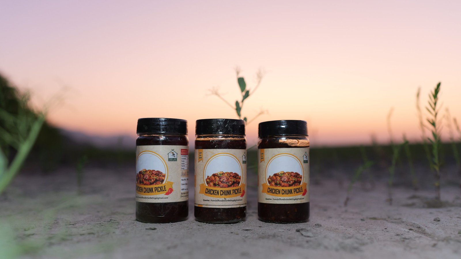 CHICKEN CHUNK PICKLE