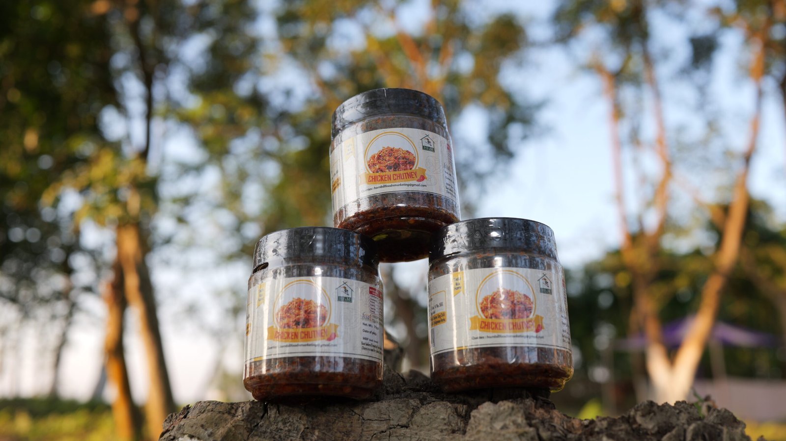 CHICKEN CHUTNEY -  JAR