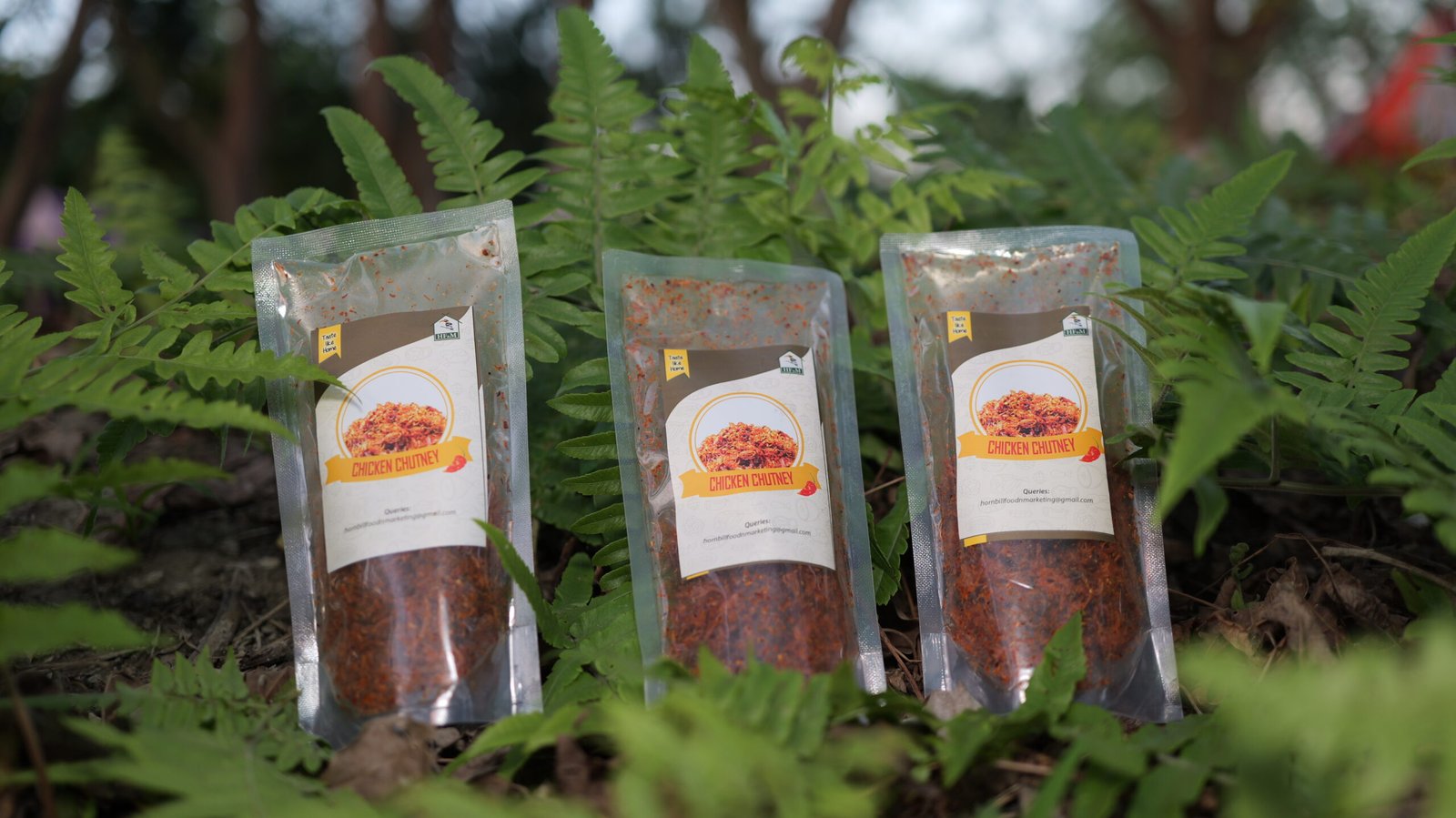 CHICKEN CHUTNEY -  POUCH