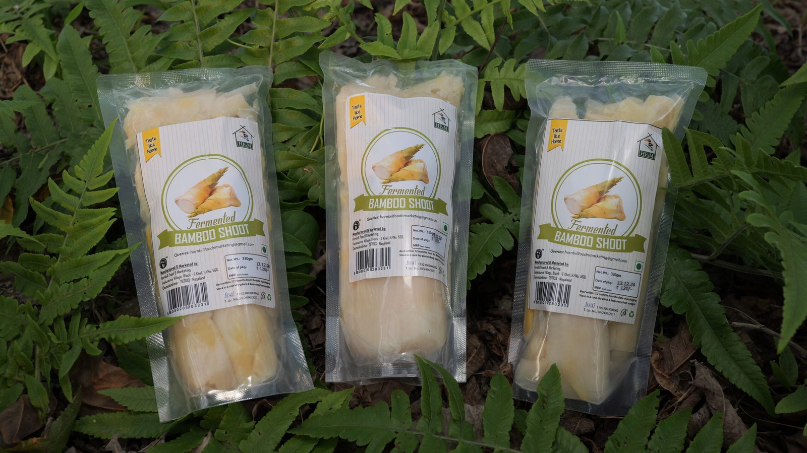 Bamboo Shoot